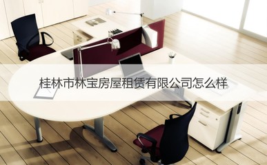 桂林市林寶房屋租賃與房屋銷售代理服務評析